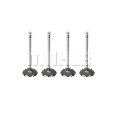 Mahle/Metal Leve VA0510070 Intake valve VA0510070
