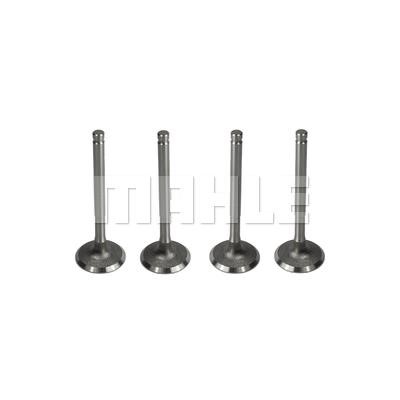 Mahle/Metal Leve VA0510126 Intake valve VA0510126
