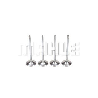 Mahle/Metal Leve VA0510134 Intake valve VA0510134