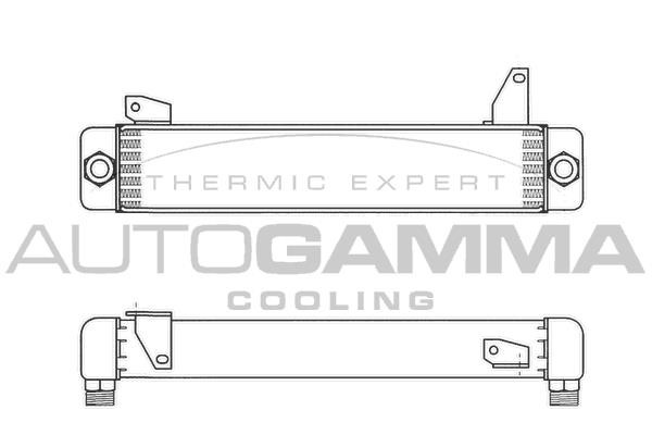 Autogamma 101916 Oil Cooler, engine oil 101916