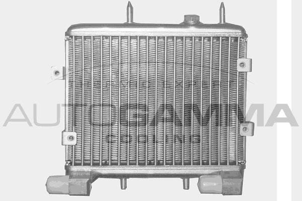 Autogamma 102513 Oil Cooler, engine oil 102513