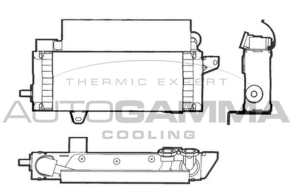 Autogamma 101552 Oil Cooler, engine oil 101552