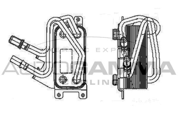 Autogamma 107011 Oil Cooler, engine oil 107011