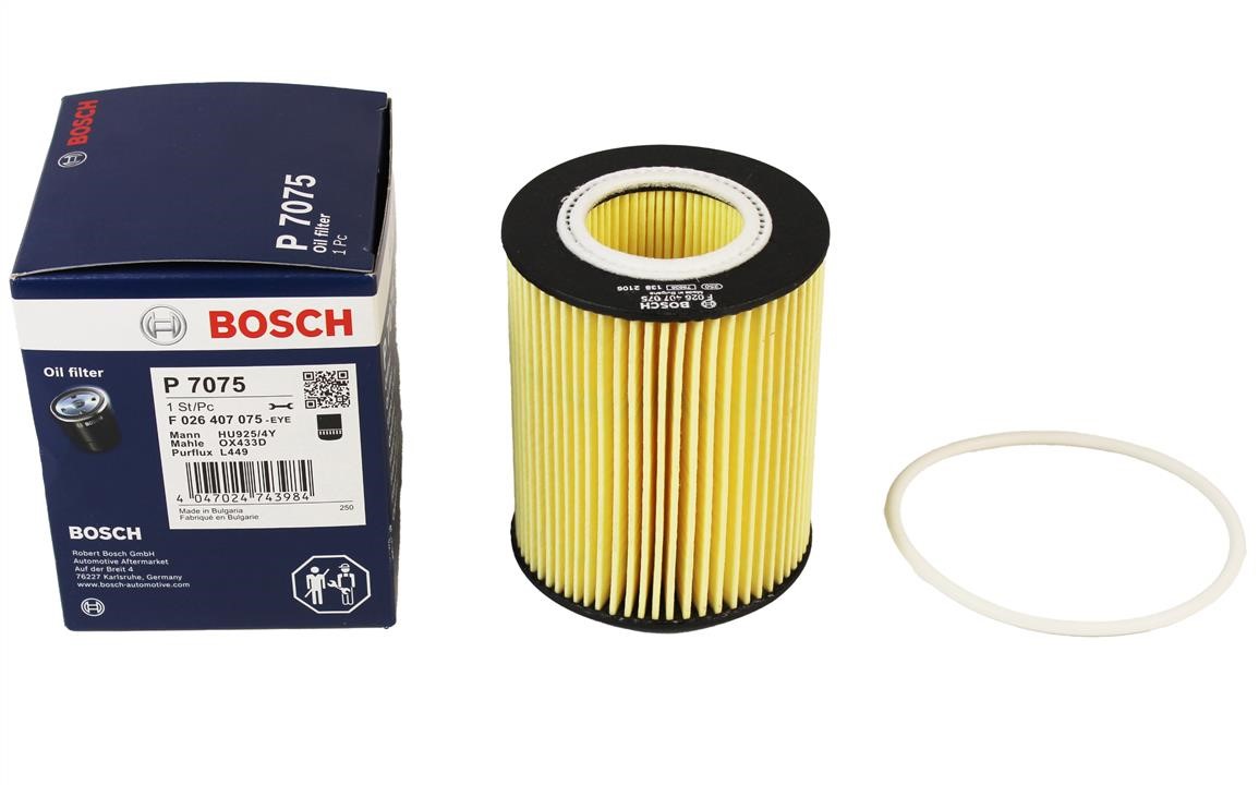 Buy Bosch F 026 407 075 at a low price in United Arab Emirates!