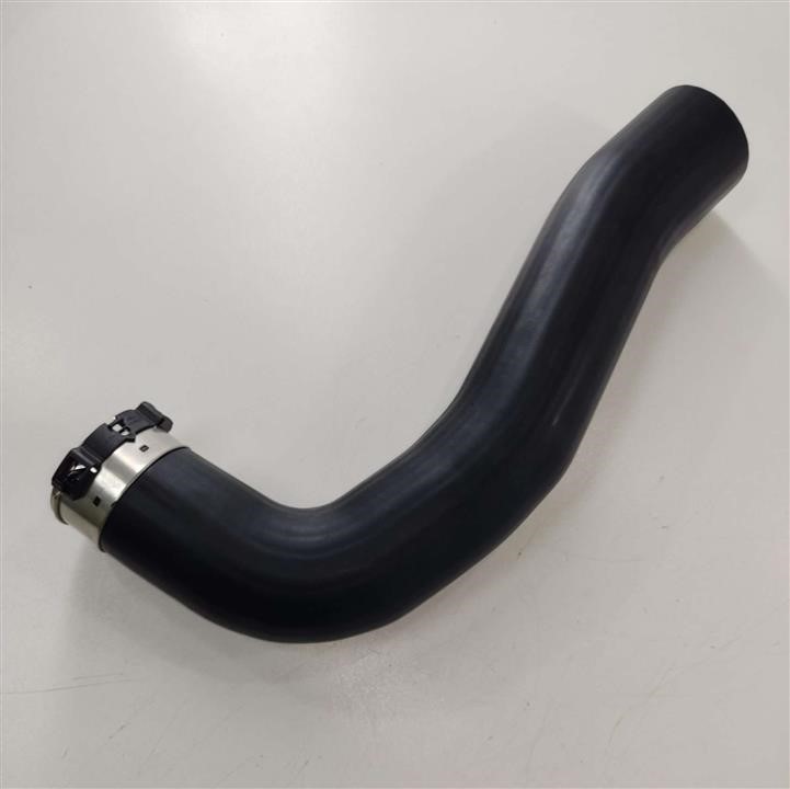 GoodWay AH-RE-730589/1 Intake hose AHRE7305891