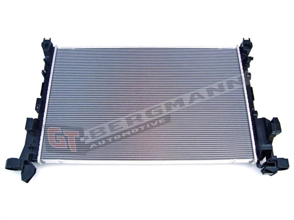 Buy Gt Bergmann GT10-039 at a low price in United Arab Emirates!
