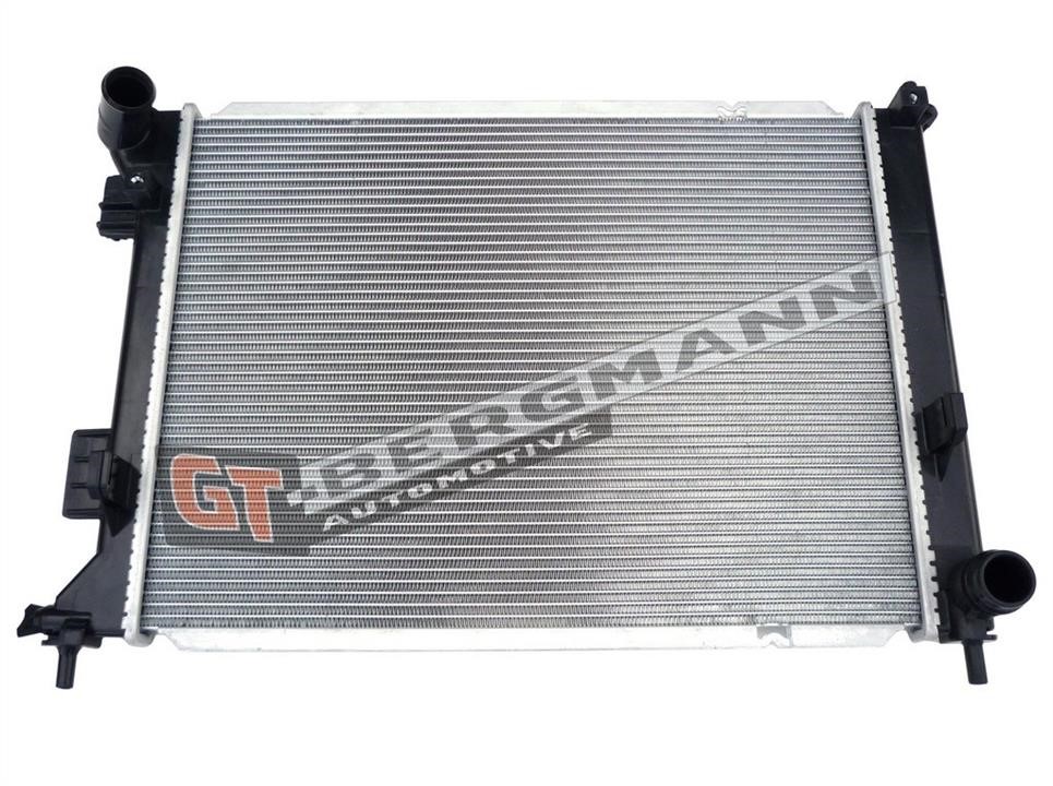 Gt Bergmann GT10-183 Radiator, engine cooling GT10183