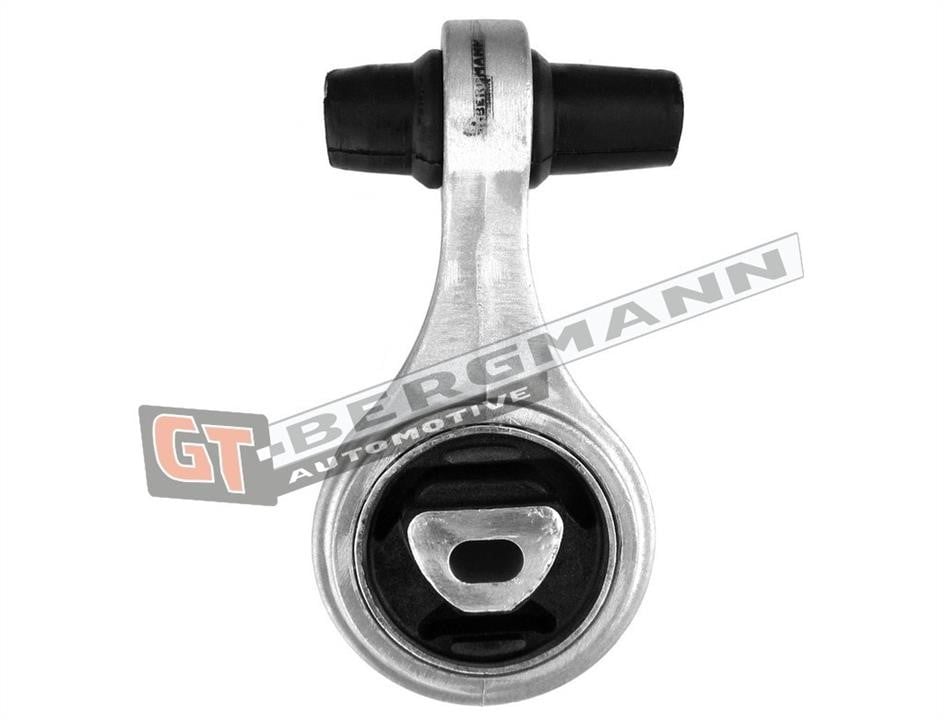 Buy Gt Bergmann GT25-027 at a low price in United Arab Emirates!