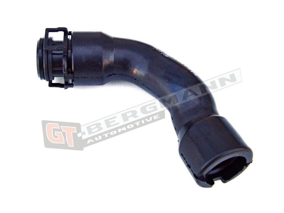 Buy Gt Bergmann GT52-027 at a low price in United Arab Emirates!