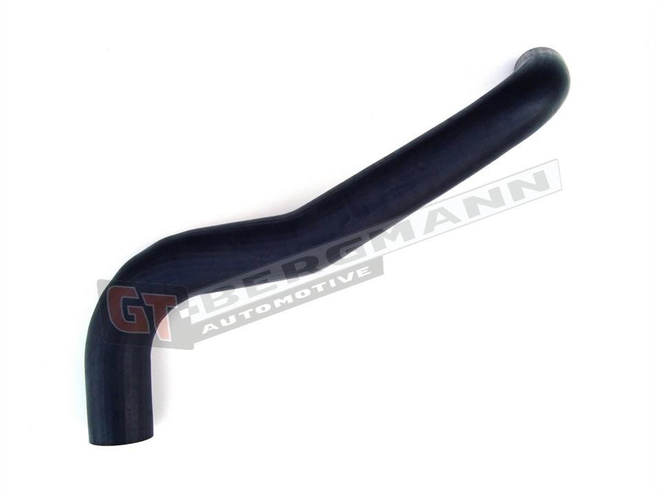 Buy Gt Bergmann GT52112 – good price at EXIST.AE!