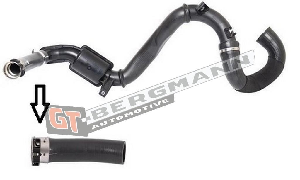 Buy Gt Bergmann GT52-101 at a low price in United Arab Emirates!
