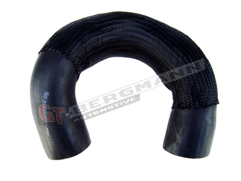 Buy Gt Bergmann GT52102 – good price at EXIST.AE!