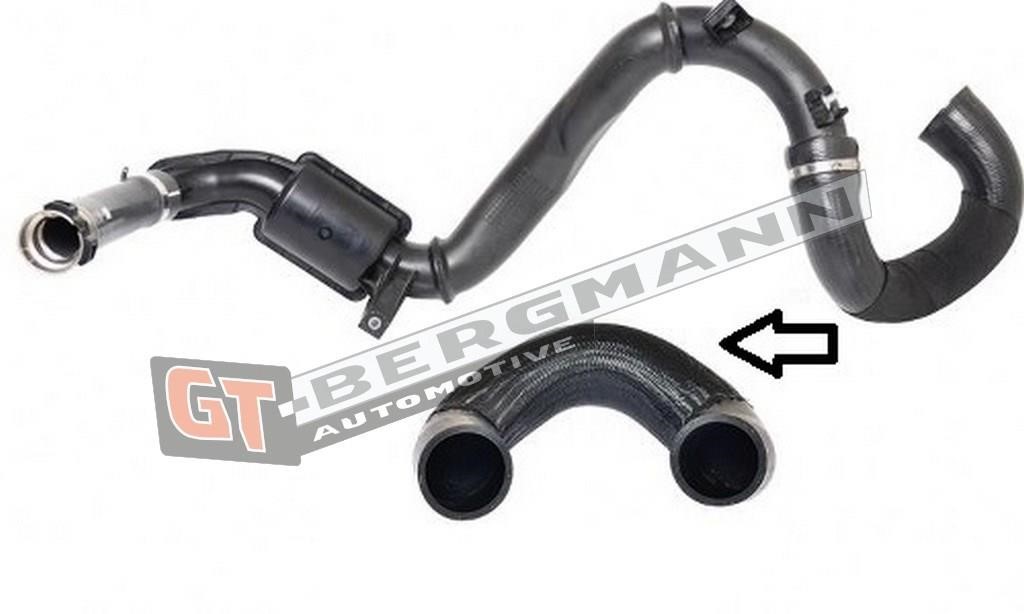 Buy Gt Bergmann GT52-102 at a low price in United Arab Emirates!