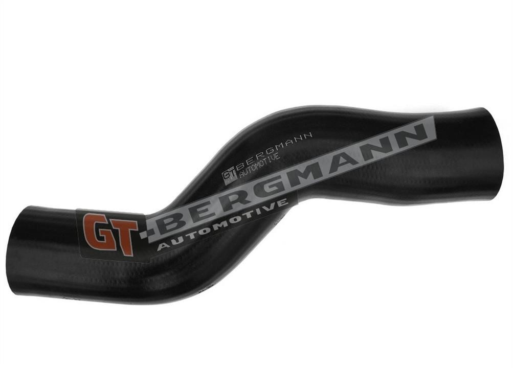 Gt Bergmann GT52-122 Intake hose GT52122