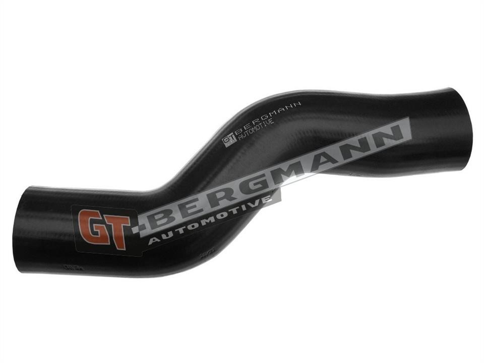 Intake hose Gt Bergmann GT52-122