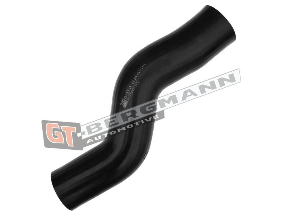 Buy Gt Bergmann GT52-122 at a low price in United Arab Emirates!