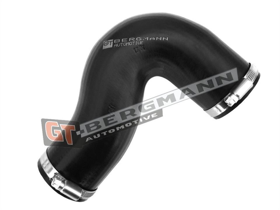 Gt Bergmann GT52-123 Intake hose GT52123