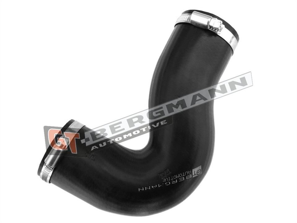 Buy Gt Bergmann GT52-123 at a low price in United Arab Emirates!
