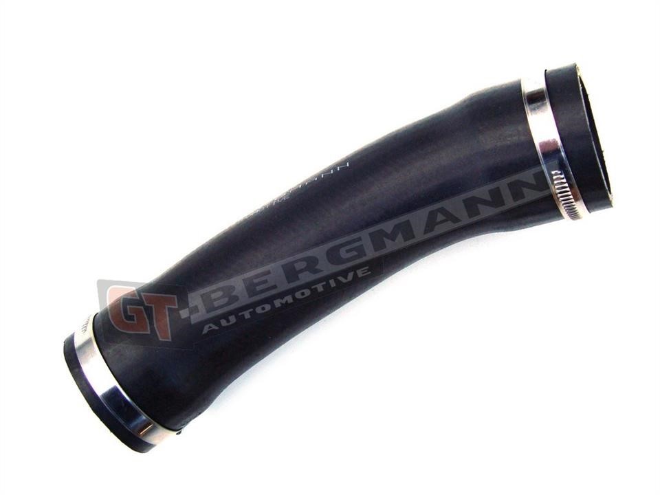 Buy Gt Bergmann GT52-124 at a low price in United Arab Emirates!