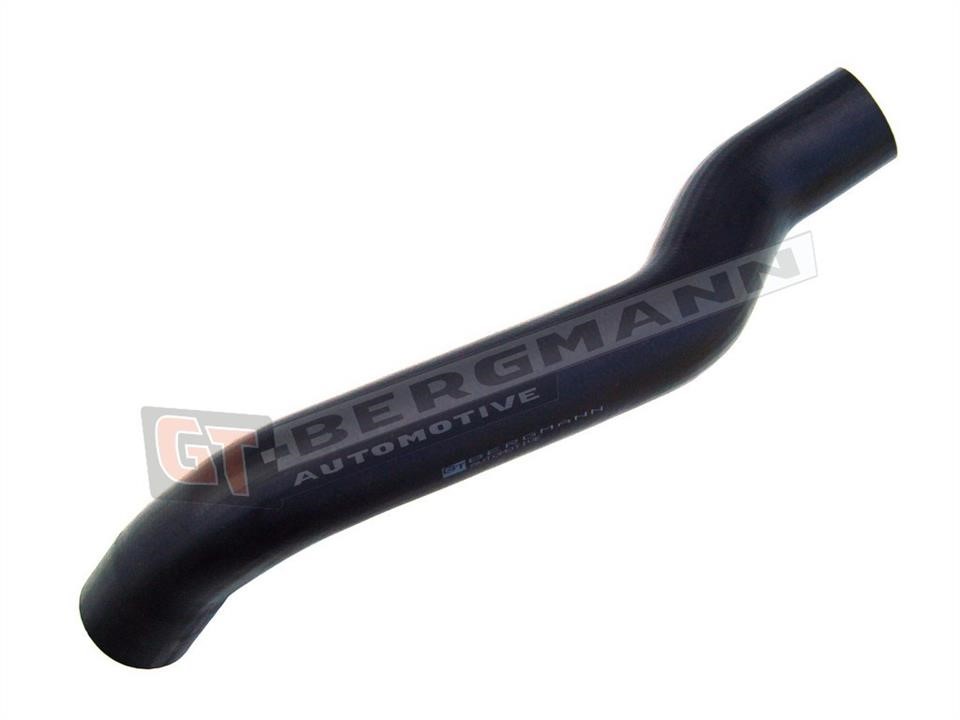 Buy Gt Bergmann GT52-132 at a low price in United Arab Emirates!