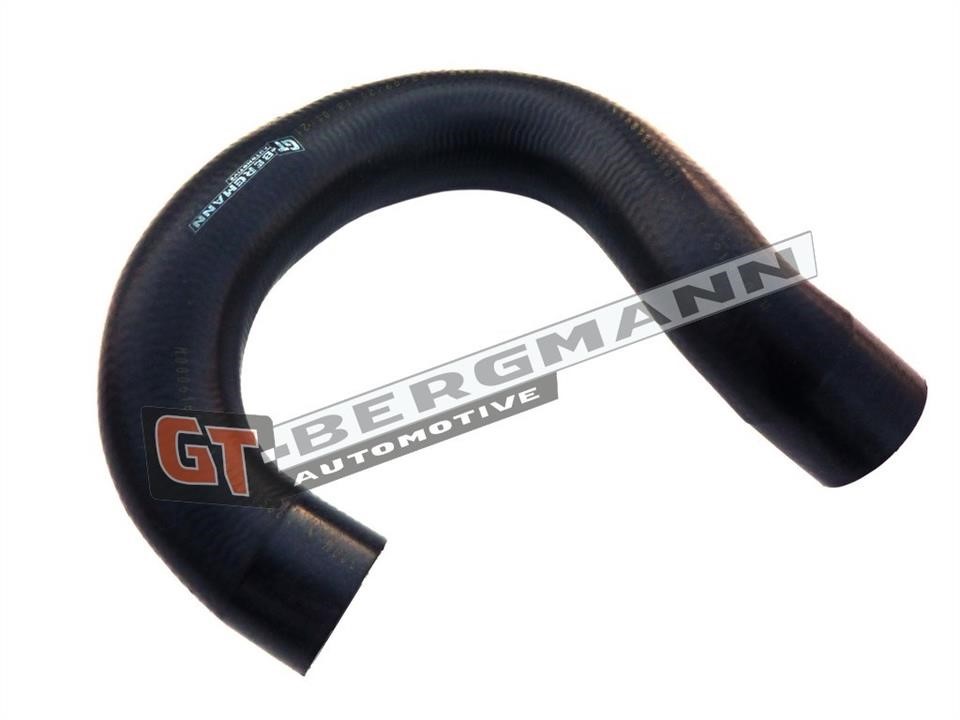 GT52138 Gt Bergmann Coolant hose