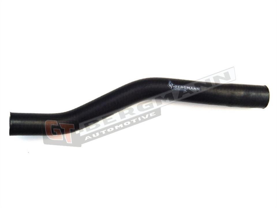Buy Gt Bergmann GT52143 – good price at EXIST.AE!