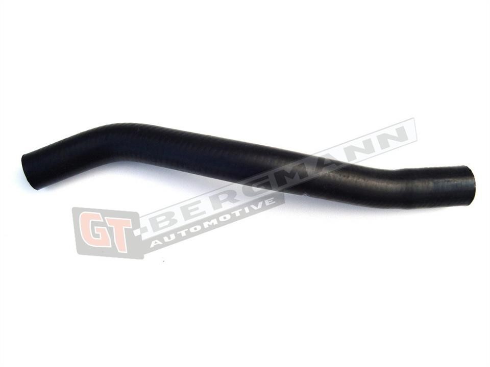 Buy Gt Bergmann GT52-143 at a low price in United Arab Emirates!