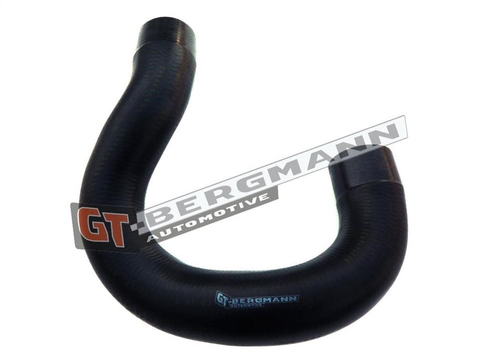 Coolant hose Gt Bergmann GT52-138