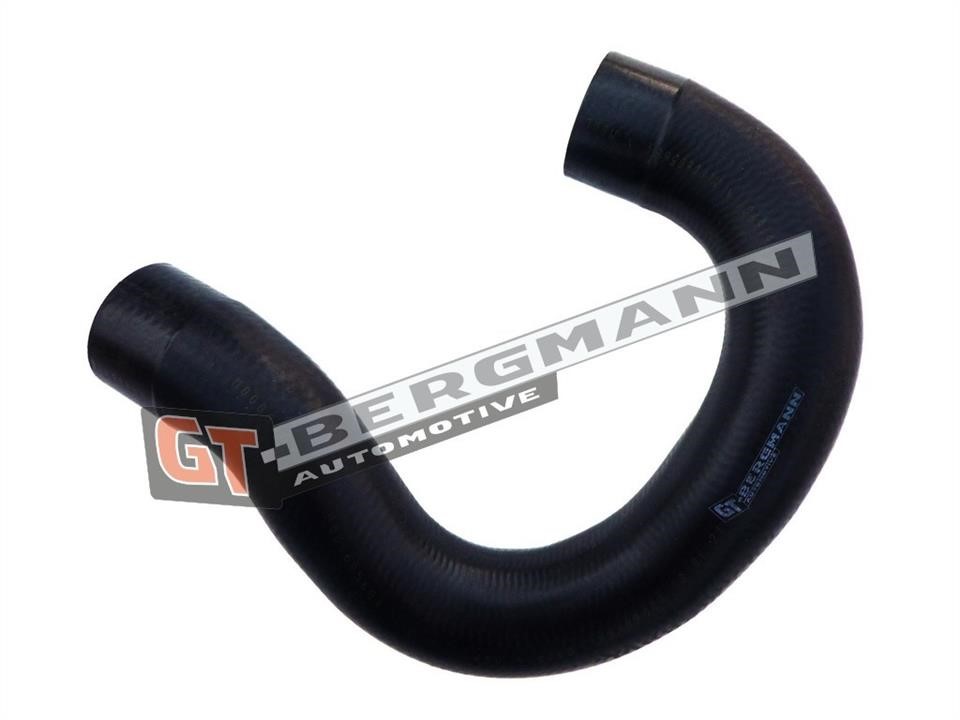 Buy Gt Bergmann GT52-138 at a low price in United Arab Emirates!