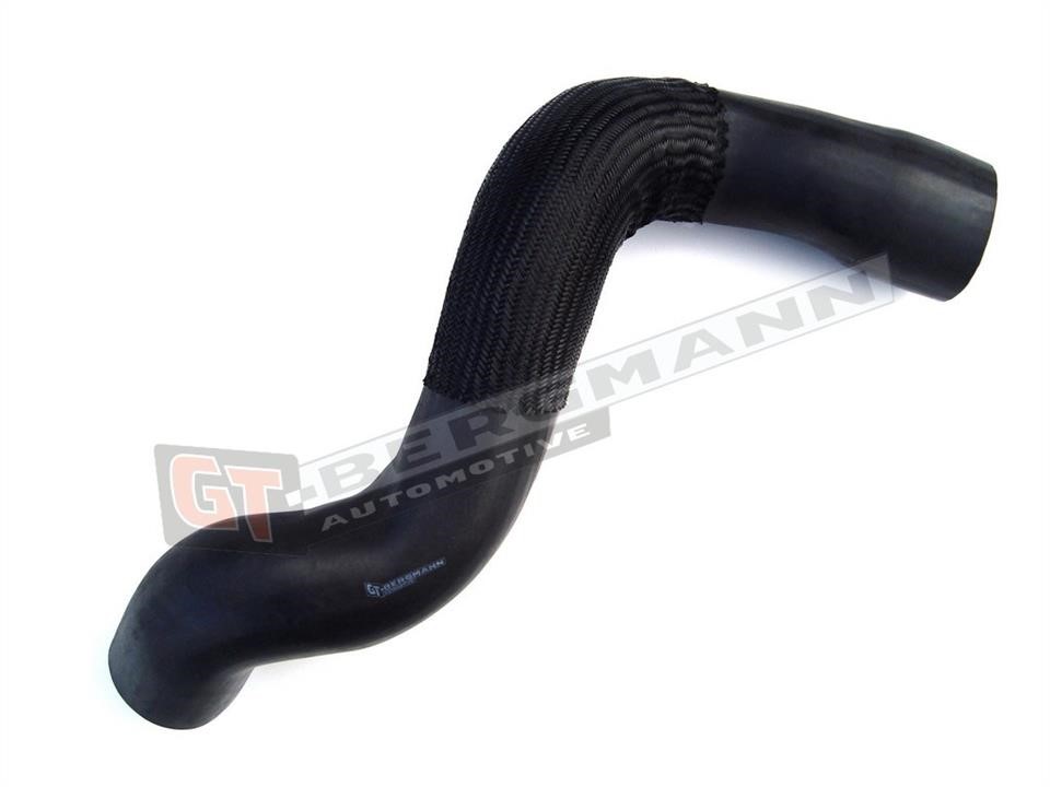 Buy Gt Bergmann GT52146 – good price at EXIST.AE!
