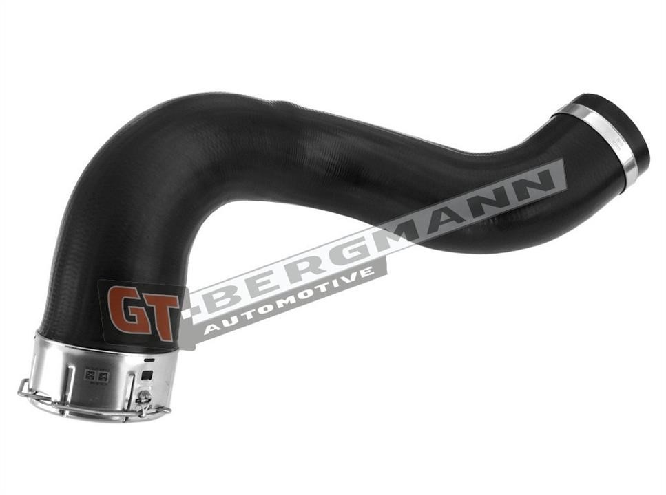 Buy Gt Bergmann GT52176 – good price at EXIST.AE!