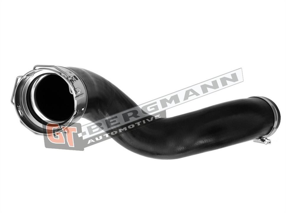 Buy Gt Bergmann GT52-176 at a low price in United Arab Emirates!