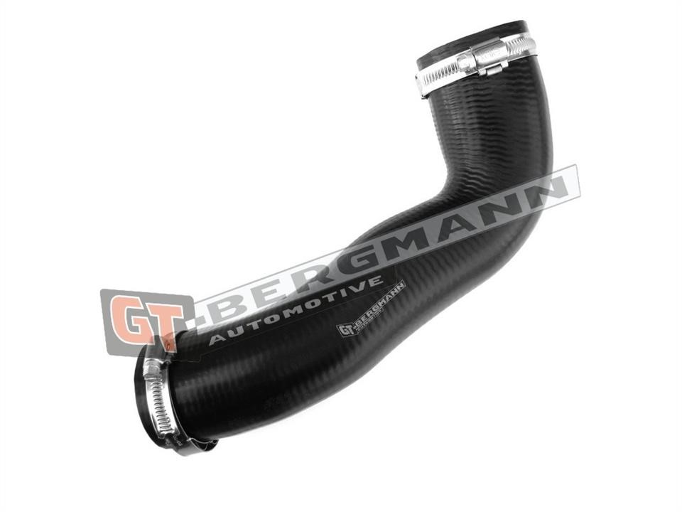 Gt Bergmann GT52-198 Intake hose GT52198