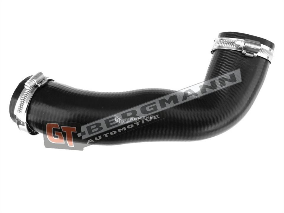 Buy Gt Bergmann GT52-198 at a low price in United Arab Emirates!