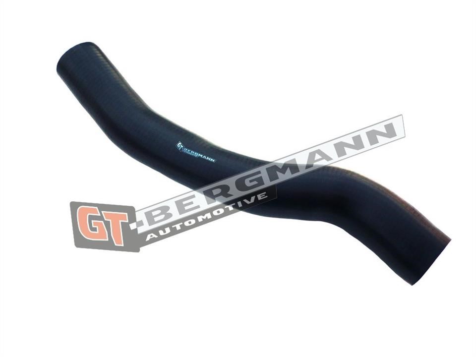 Buy Gt Bergmann GT52-178 at a low price in United Arab Emirates!