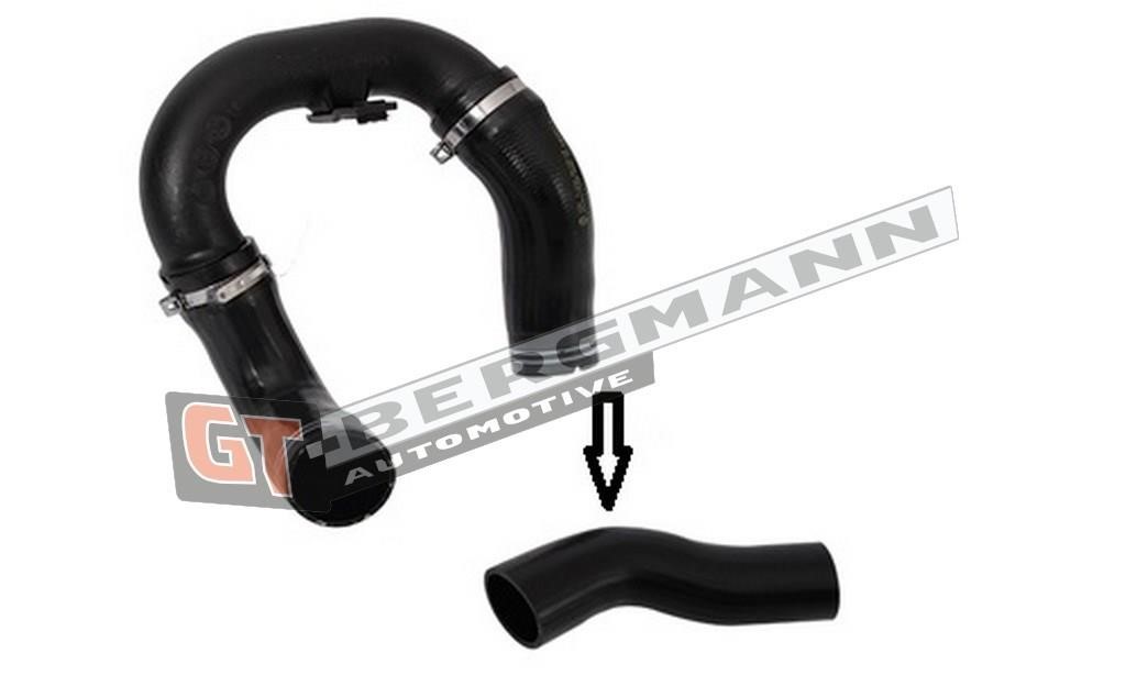 Buy Gt Bergmann GT52-159 at a low price in United Arab Emirates!