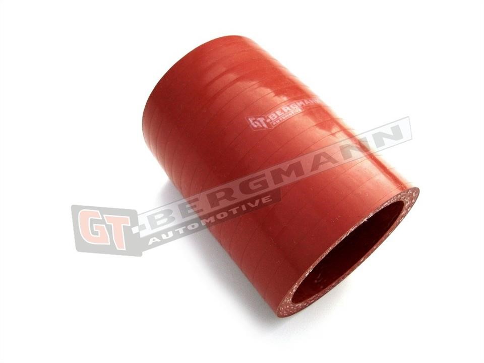 Buy Gt Bergmann GT52-166 at a low price in United Arab Emirates!