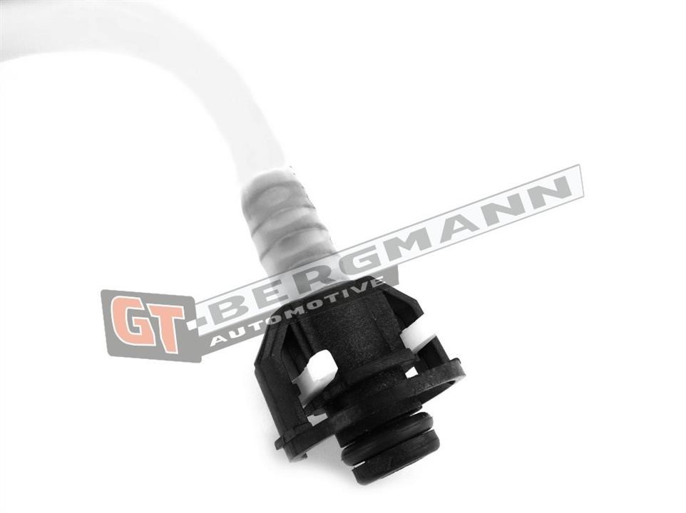 Buy Gt Bergmann GT52-208 at a low price in United Arab Emirates!