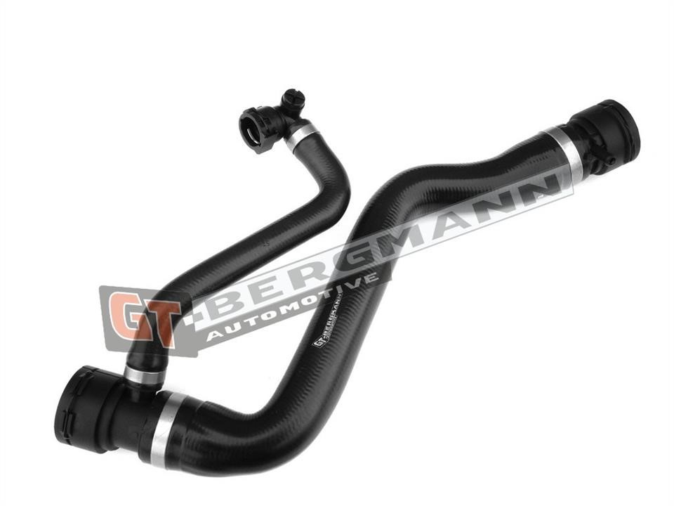 Buy Gt Bergmann GT52210 – good price at EXIST.AE!
