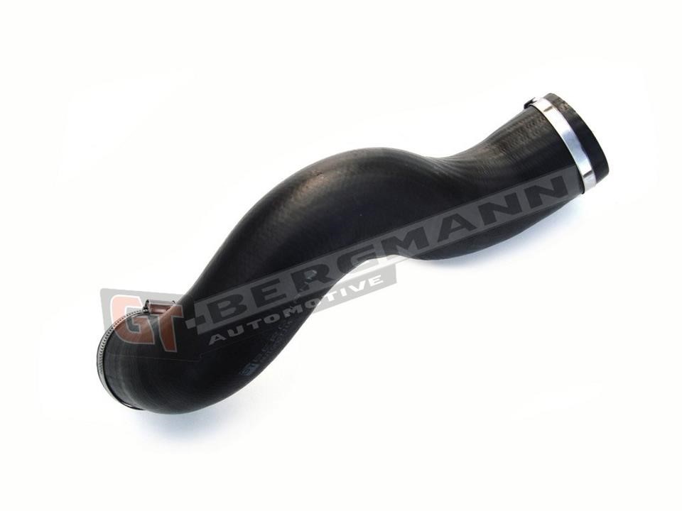 Buy Gt Bergmann GT52191 – good price at EXIST.AE!