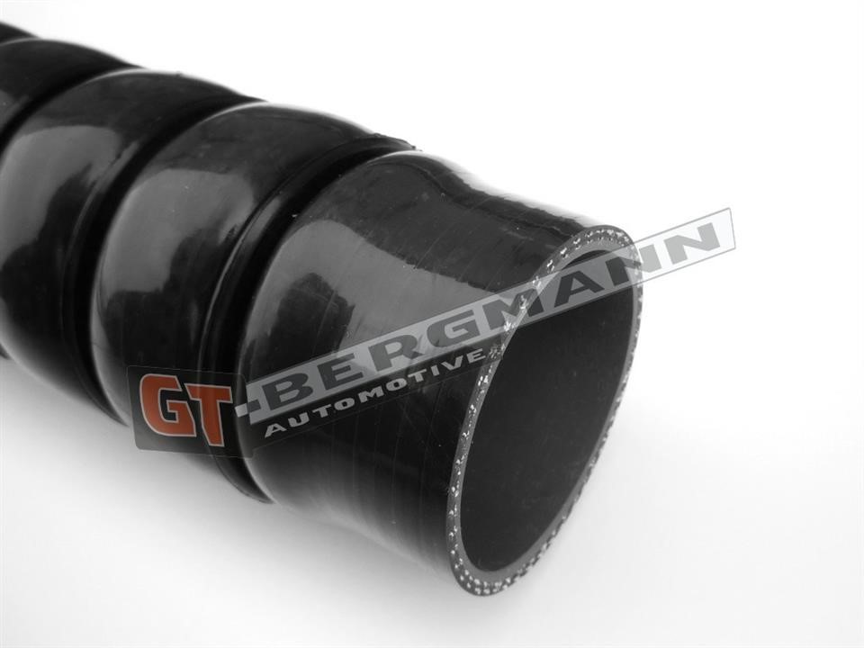 Buy Gt Bergmann GT52-211 at a low price in United Arab Emirates!