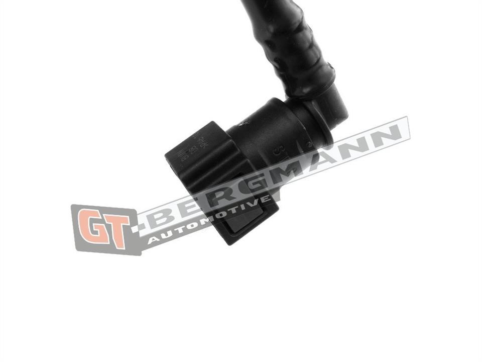 Pipeline Gt Bergmann GT52-212