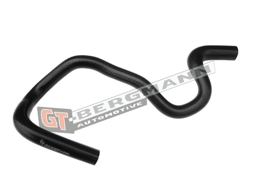 Buy Gt Bergmann GT52-214 at a low price in United Arab Emirates!