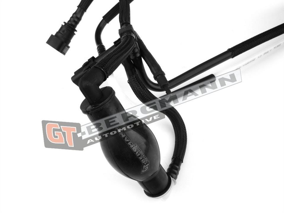 Pipeline Gt Bergmann GT52-219