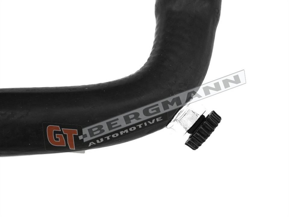 Buy Gt Bergmann GT52-220 at a low price in United Arab Emirates!