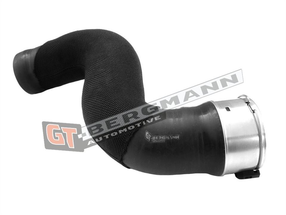 Buy Gt Bergmann GT52227 – good price at EXIST.AE!