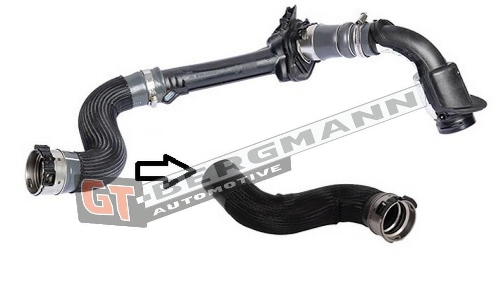 Buy Gt Bergmann GT52-227 at a low price in United Arab Emirates!