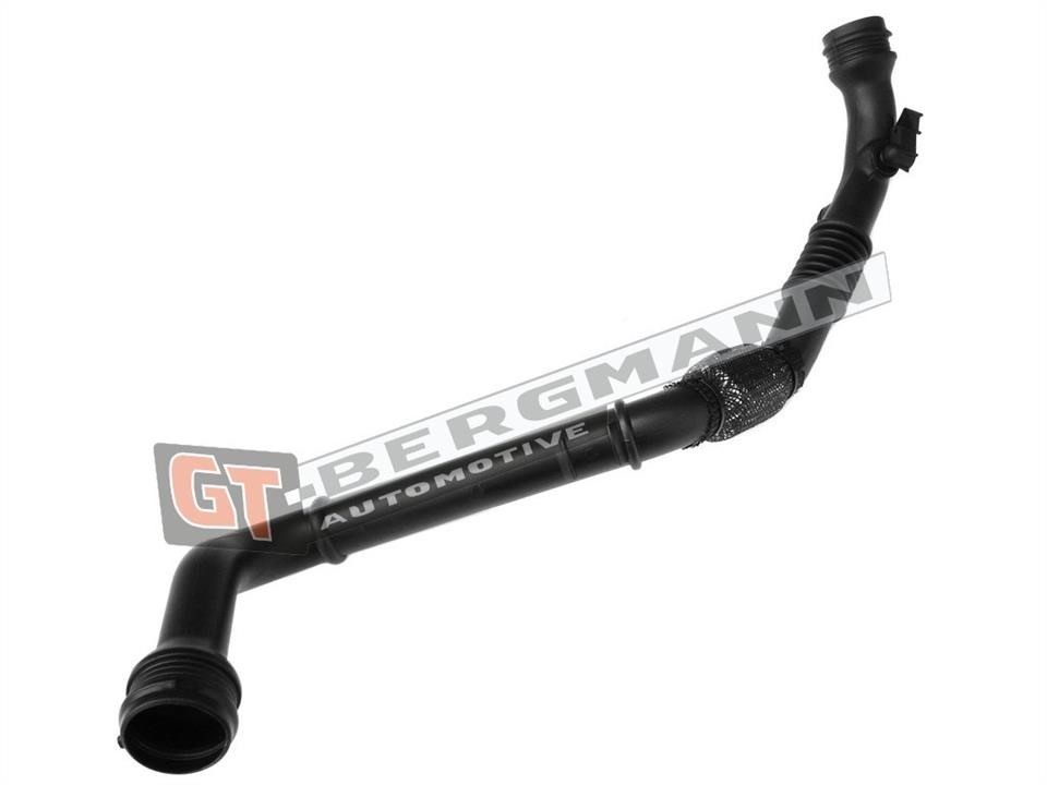 Buy Gt Bergmann GT52249 – good price at EXIST.AE!