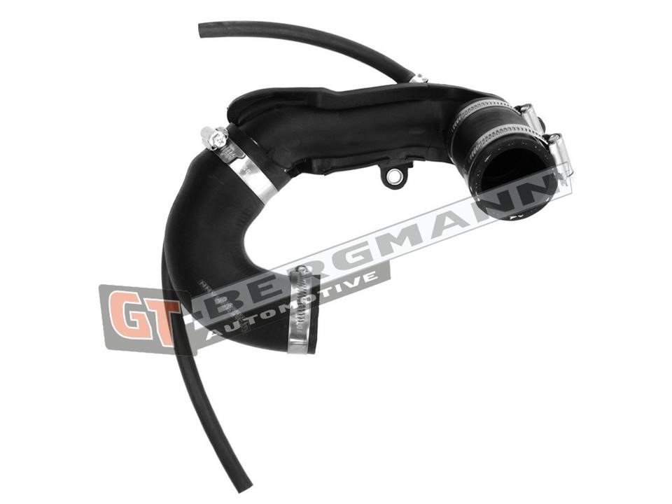 Buy Gt Bergmann GT52-250 at a low price in United Arab Emirates!