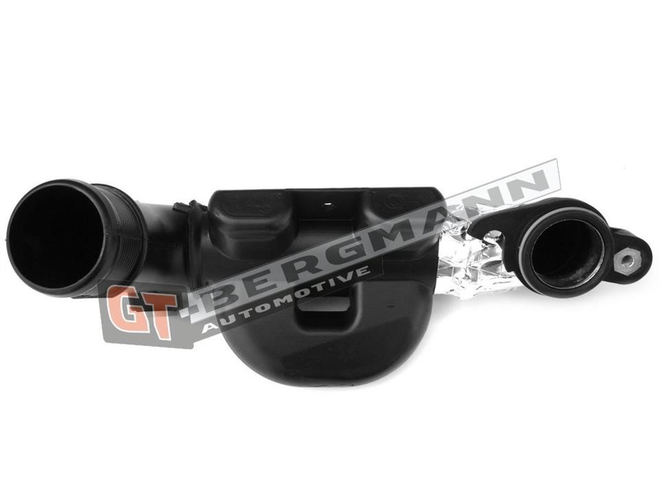 Buy Gt Bergmann GT52-252 at a low price in United Arab Emirates!